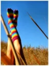 colors