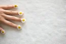 daisy