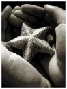 star