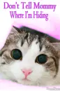 cat-dont tell mommy 