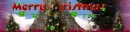 Merry