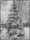 christmas tree snowing