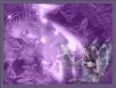 purple flashing fairy