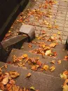 autumn steps