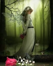 Lady
