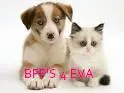BFF puppy and and kitty