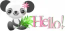 Hello