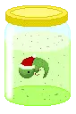 Xmas Fetus