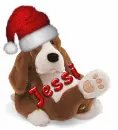 cute christmas dog jessi