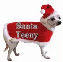 santa Teeny 