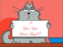 Cat in love