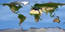 Maps