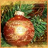 ornament and pine avatar