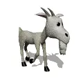 walking billy goat