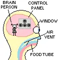Head Scheme