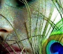 feather