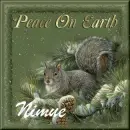 peace on earth squirrel nimue