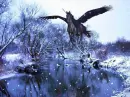 black pegasus snowing