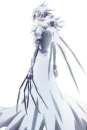 D.Gray-Man