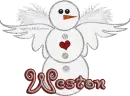 Snowman Angel -Weston-