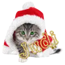 cute santa cat Judi