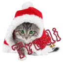 cute santa cat Trudi