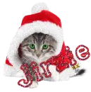 cute santa cat Jirzie