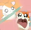 hamtaro