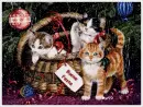 Buone Feste