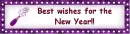 best wishes for the new year