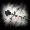 emo love