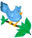bird
