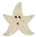starfish