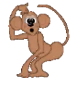 monkey