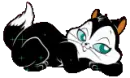 blackcat