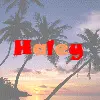 HALEY