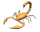 scorpion