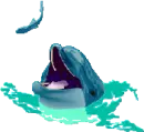 dolphin