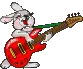 rabbit