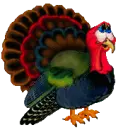turkey