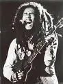 Bob Marley plays