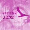 Fly like a bird!
