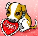 Angels cute dog