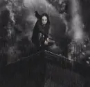 the crow