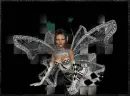 harlequin fairy