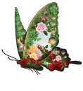 rose pattern butterfly