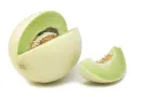 honeydew melon