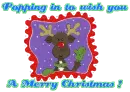 Christmas Reindeer