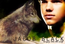 Jacob Black