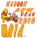 HAPOOH New Year 2010 ANIA
